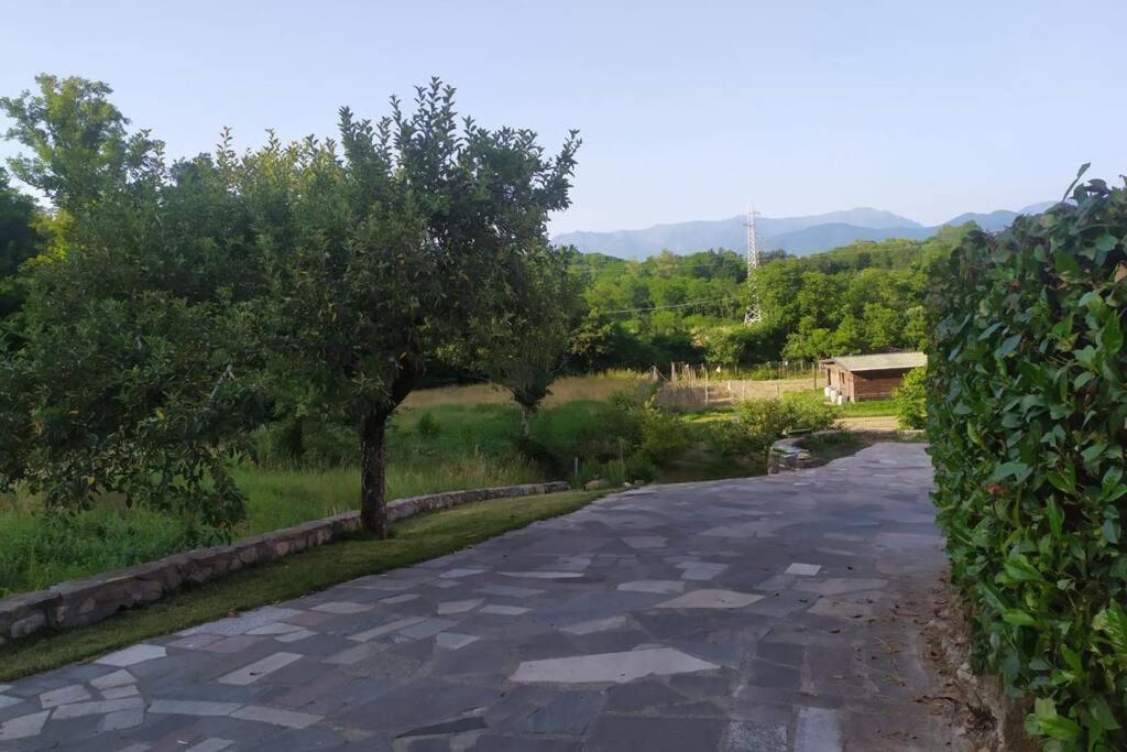 Appartamento Nel Verde Tra Cinque Terre E Versilia Barbarasco 外观 照片